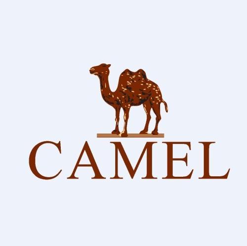 骆驼冲锋衣品牌logo