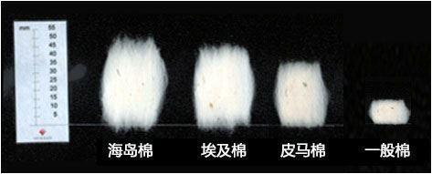 50块钱和5000块钱面料的区别